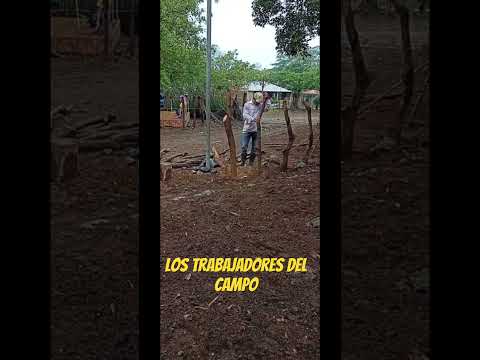 Los trabajadores del campo zacatecoluca La Paz El Salvador