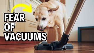 Dog Is Scared of the Vacuum? Watch THIS Step-By-Step Transformation!