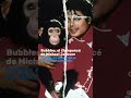 Bubbles, el chimpanc&eacute; de Michael Jackson, cumple 45 a&ntilde;os