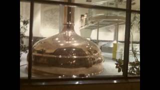 The Struble Twins Visit The Sierra Nevada Brewing Company