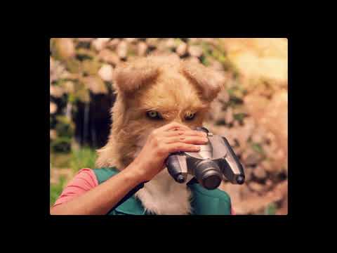 afbeelding Tu Último Día en la Tierra