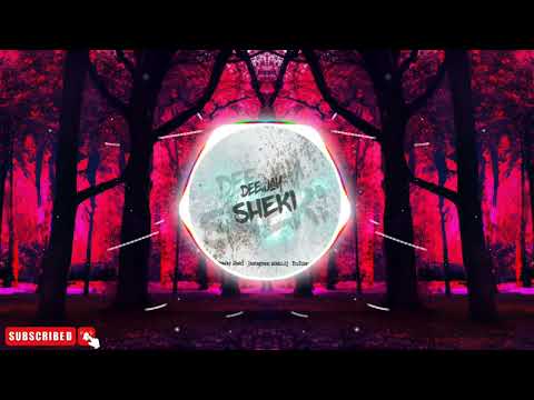 Djani - Balkanac ( DJ STEFAN T. Ft. DJ SHEKI REMIX 2024 )