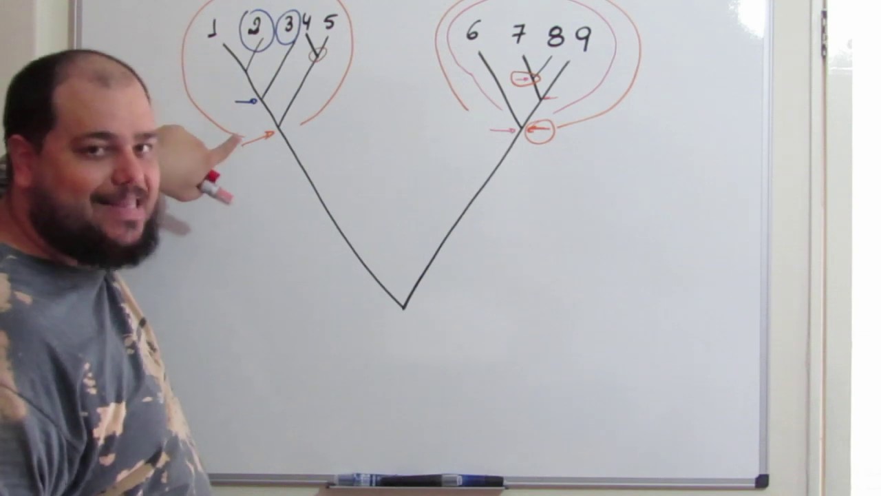 Monofilético, Polifilético e Parafilético