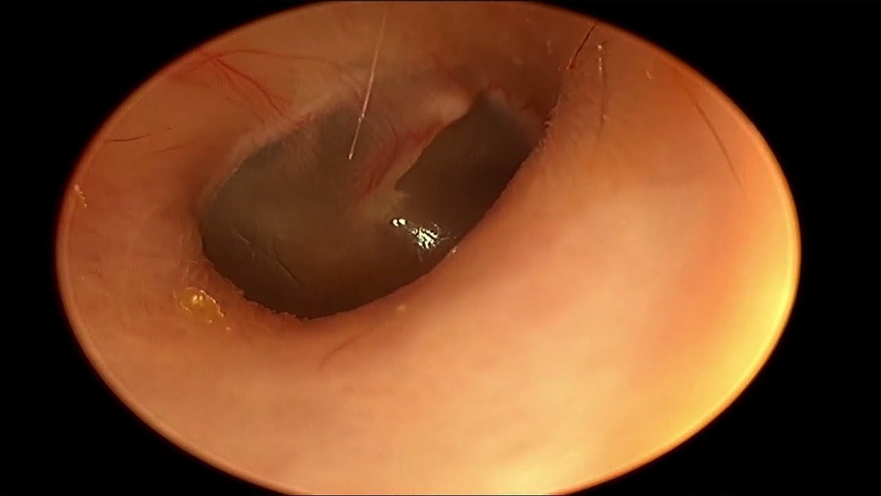 Juan Carlos Mendez Gutierrez-54