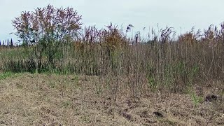 Bob Welch - Fate Decides