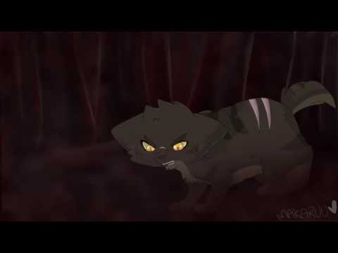 The Madness Of King Tigerstar Part 18