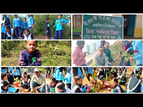 विश्व पर्यावरण दिवस 5 जून2025