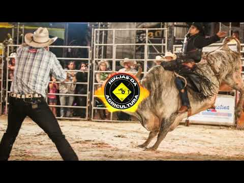 Larga aí pra ver - Léo e Raphael ft. Jorge (Ninjas da Agricultura)