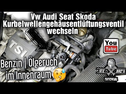 Vw Audi Seat Skoda | 1.2 1.4 TSI | Kurbelwellengehäuseentlüftung | Benzin Ölgeruch | Purge Valve
