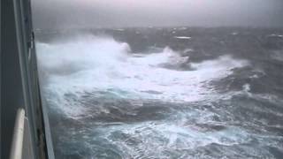 THE BLUE CAGE (MODRI KAVEZ)