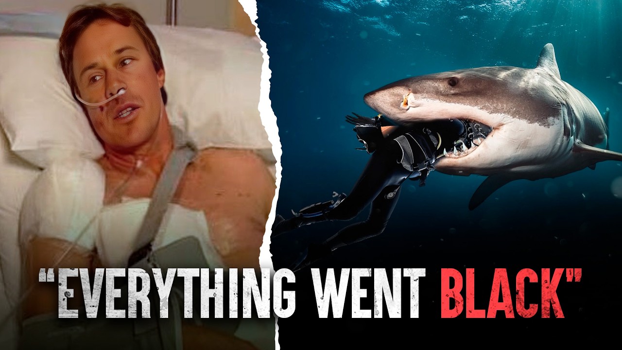 The Scariest Shark Attacks