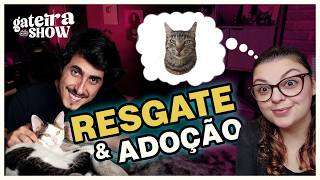RESGATE  e ADOÇÃO de GATOS | Gateira Live Show #021