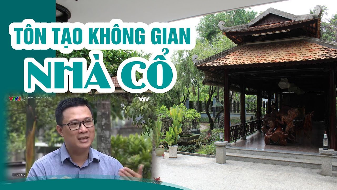 KHÔNG GIAN XANH VTV3 | TÔN TẠO KHÔNG GIAN NHÀ CỔ | KTS HUỲNH XUÂN HẢI