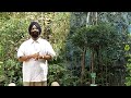 பல ஆயிரம் செடிகளை தான் வீட்டில் வளர்�