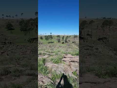 inmobiliaria el faro Vende hermoso lote en villa yacanto de calamuchita córdoba 4.400 m2