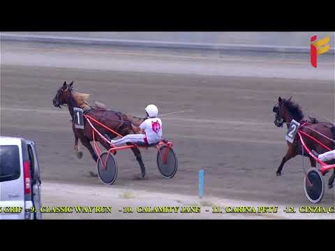 V Corsa del 25 Agosto 2021   3 Anni   Metri 1600