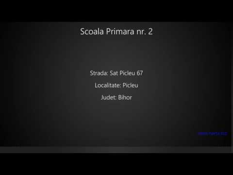 Scoala Primara nr. 2 Picleu