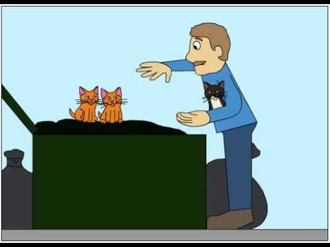 Cleo - National Cat Day Animation