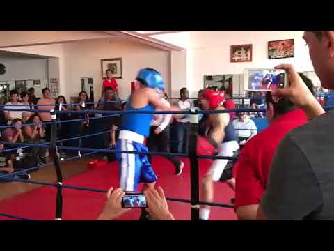 función de box veneno boxing