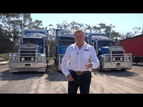 Truck Tributes & Braidwood Model Cars: Classic Restos - Series 37