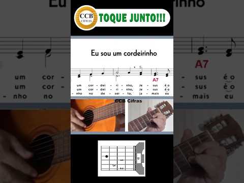 Cordeirinho - Memes