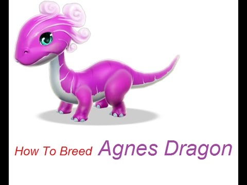 How To Breed Agnes Dragon (All Information in Description) #37