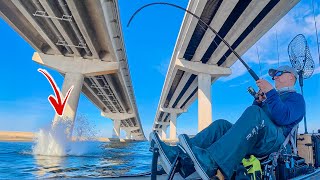 Bridge Fishing For GIANTS With Florida's BEST Winter Bait!