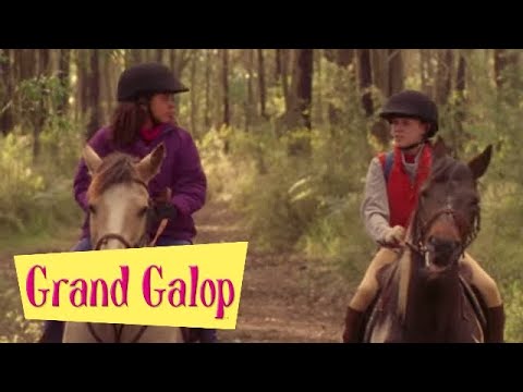 Grand Galop 104 - La course d'obstacle (Partie 2) | HD | Épisode Complet