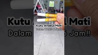 Download lagu Obat Kutu Kucing Manjur mp3 Download lagu Obat Kutu Kucing Manjur mp3