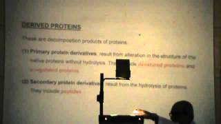 Dr.Rasheed [Proteins] 12/12/2013