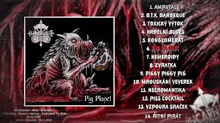Video INCARNATE - PIG PLANET - DEBUT ALBUM (2022)