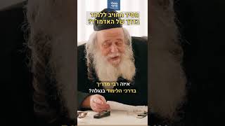צאנז? באיאן?" 💥 כשהגר"ש אלתר נשאל אם חסיד חייב ללמוד בדרך של הרבי... (תיעוד נדיר)