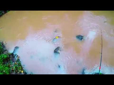 [Sopralluogo] valle del Treja, tra pioggia e cinghiali