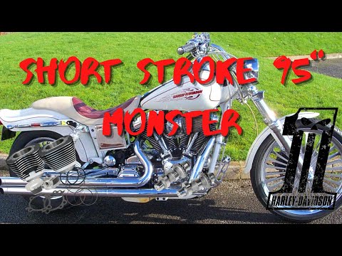 Harley 95 is the Twin Cam 88 Sleeper