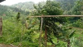 Download lagu 🎵Sheila On 7 – Kumpulan Lagu Terbaik Sepanjang Masa | Full Album Nostalgia Indonesia🎵 mp3