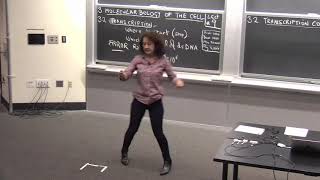 9. Chromatin Remodeling and Splicing