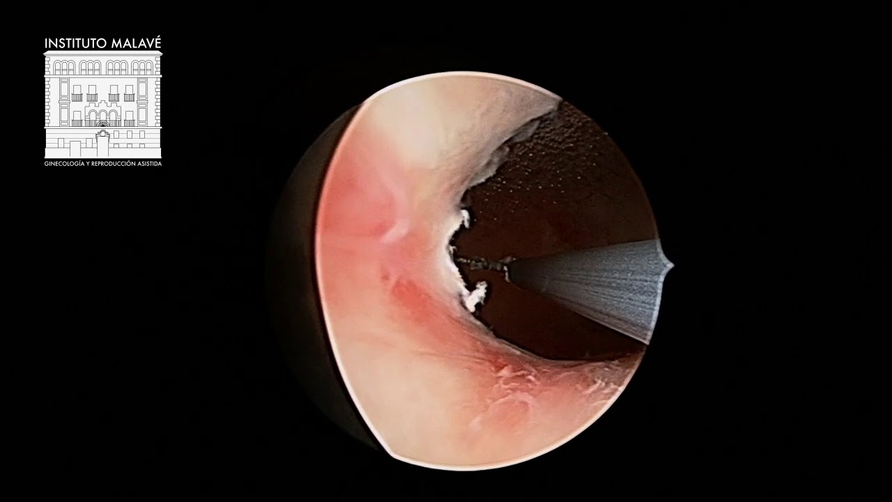 Fernando Martin Cañadas-3