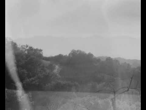 What Will I Do - Phoebe Bridgers