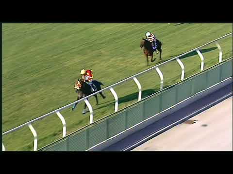 Galoppo 12/08/2020 1ª corsa