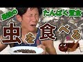 最強のたんぱく質食を食らう!コオロギ編