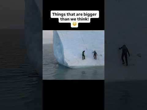Things that are #bigger than we #think #crazy #huge #giant #youtubeshorts #giant 😳