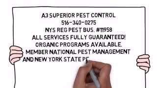 preview picture of video 'Rockville Centre NY Pest Control | Pest Control in Rockville Centre New York'