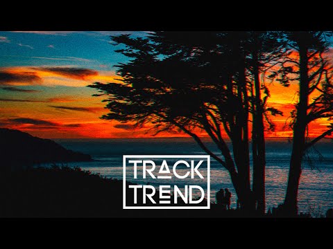 Elekfantz - Work It Out (Vintage Culture Late Night Remix)