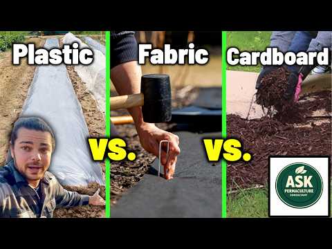 Bermuda Grass, Weed Fabric, & Jumping Worms: Your Q&A Guide