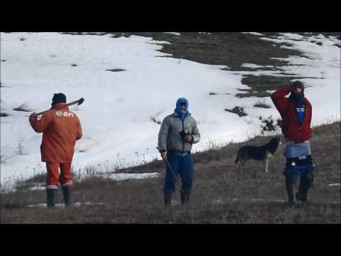 Braconierii de pe lacul Beresti!