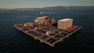 From Spanish mussel farms to EU policymakers: following the data powering Europe's blue economy