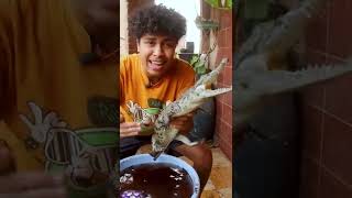 دي مش سلحفة دا تمساح shorts