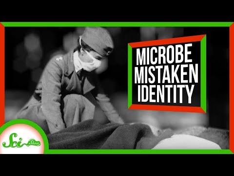 How Studying Bacteria Almost Kept Us From Discovering the Flu