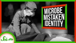 How Studying Bacteria Almost Kept Us From Discovering the Flu