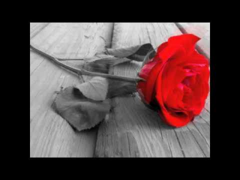 🌺EIMOS_ONLY YOU || TUVALU SONG 2016🌺